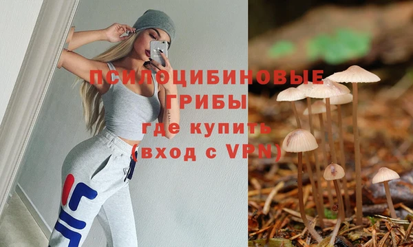 сатива Белокуриха