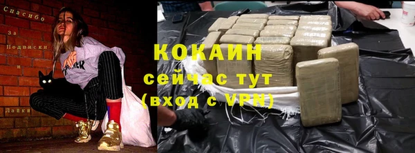 сатива Белокуриха