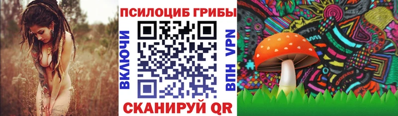 Псилоцибиновые грибы GOLDEN TEACHER Покровск